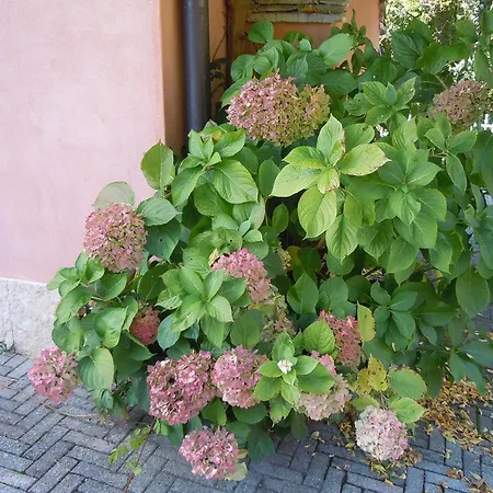 I Borghi Della Schiara - Borgo Talvena * ベッルーノ